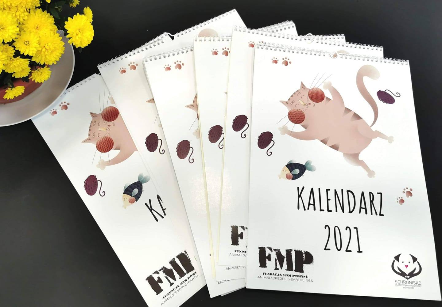 Kalendarze ze zwierzakami, koszulki – poznaj nasze cegiełki