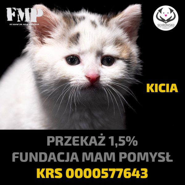 1,5% dla tysięcy zwierząt