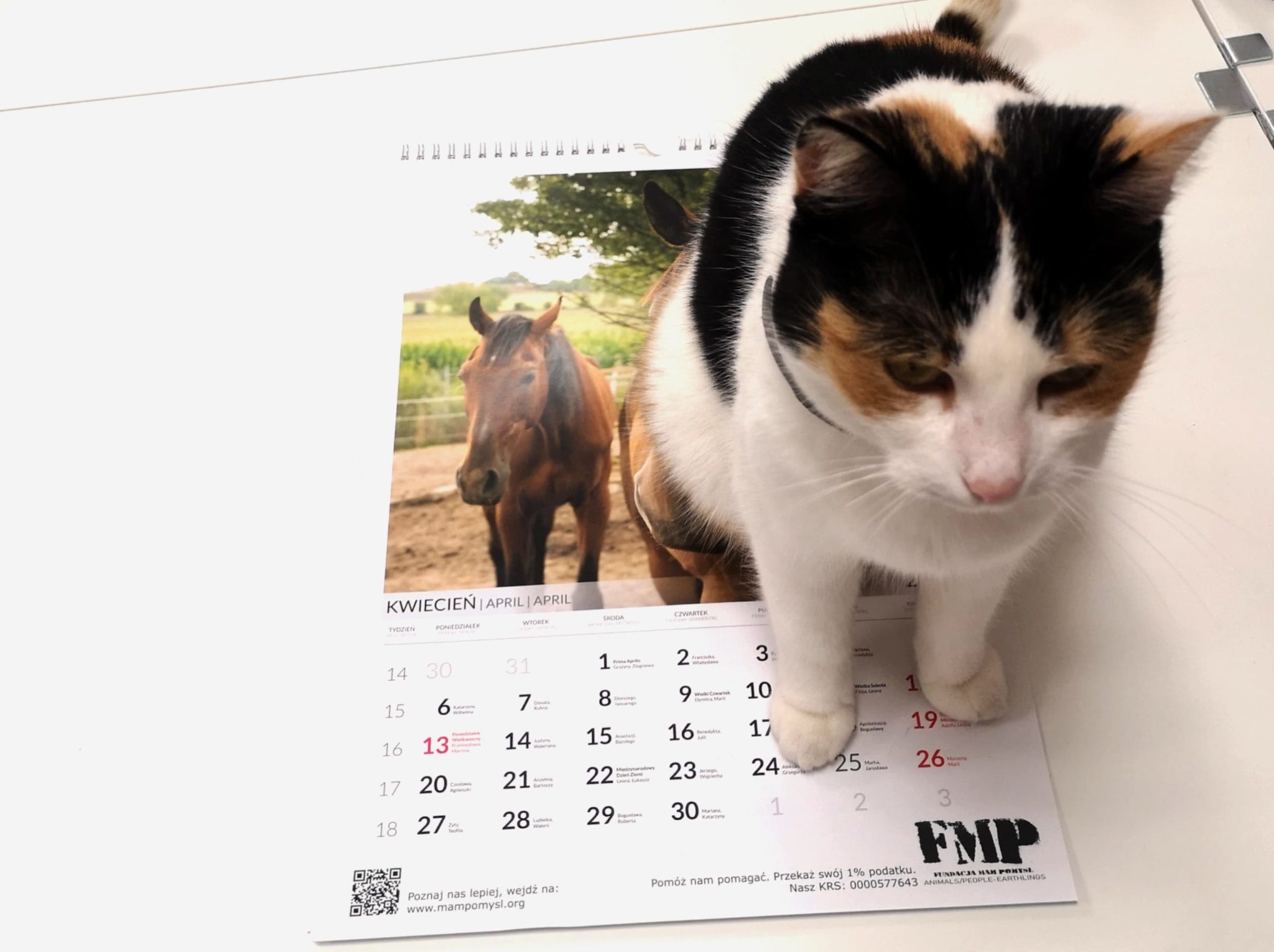 Kalendarze-cegiełki na 2020 rok!