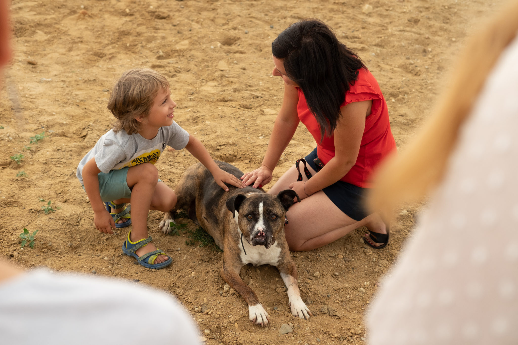 Organizacja zajęć i akcji edukacyjnych dla wszystkich grup wiekowych