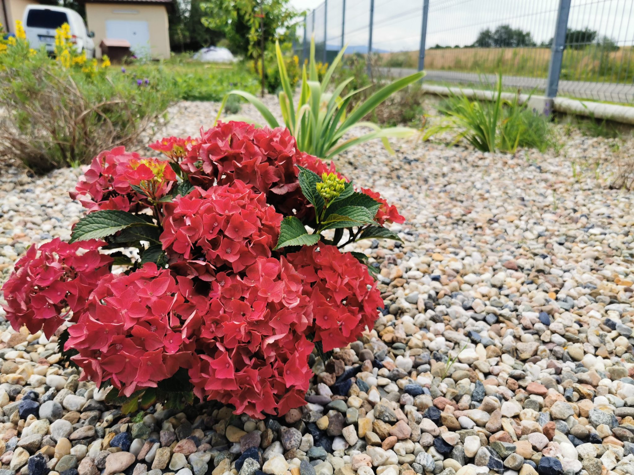 Schronisko dla roślin