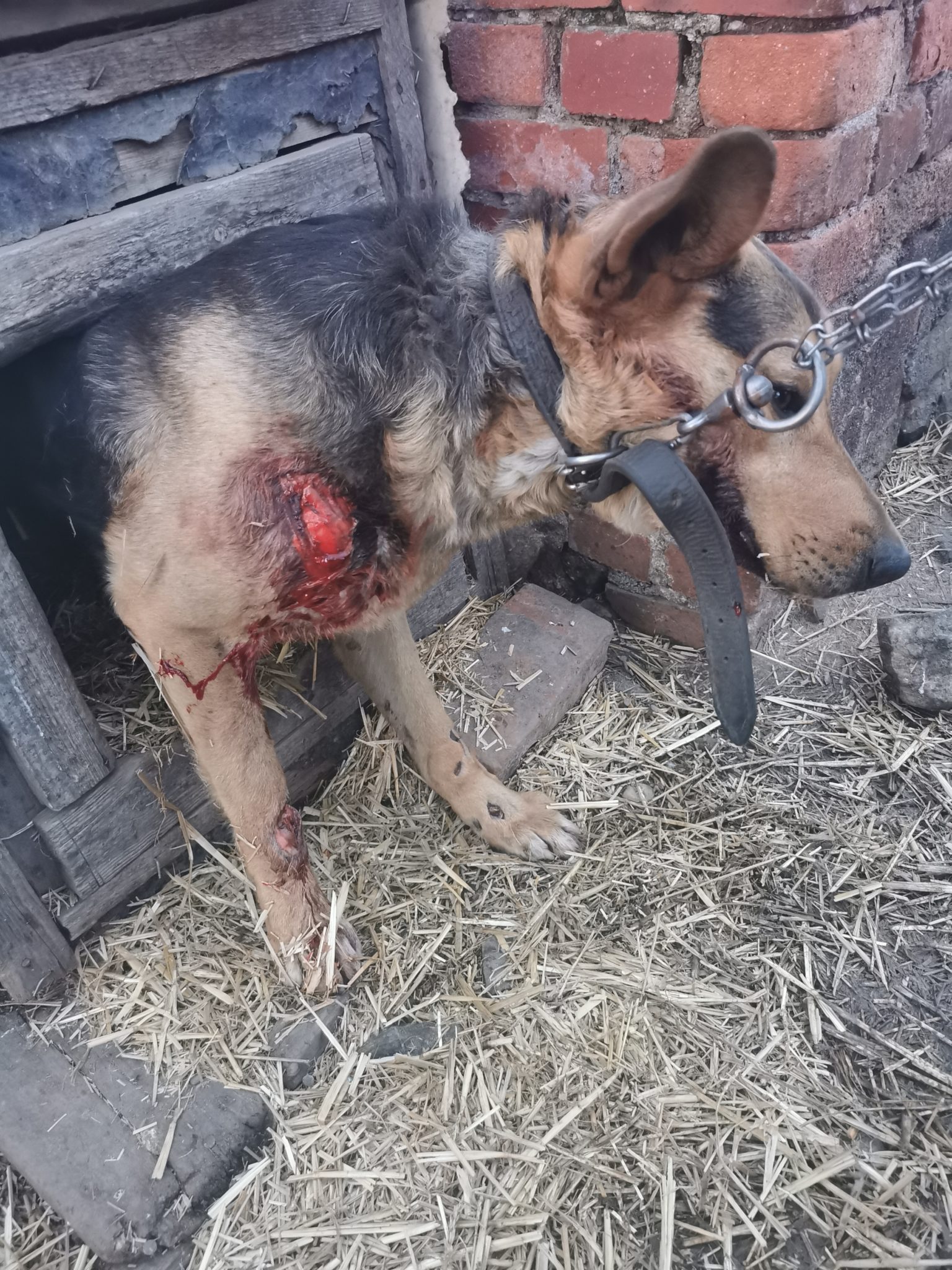 Interwencja z 6 kwietnia