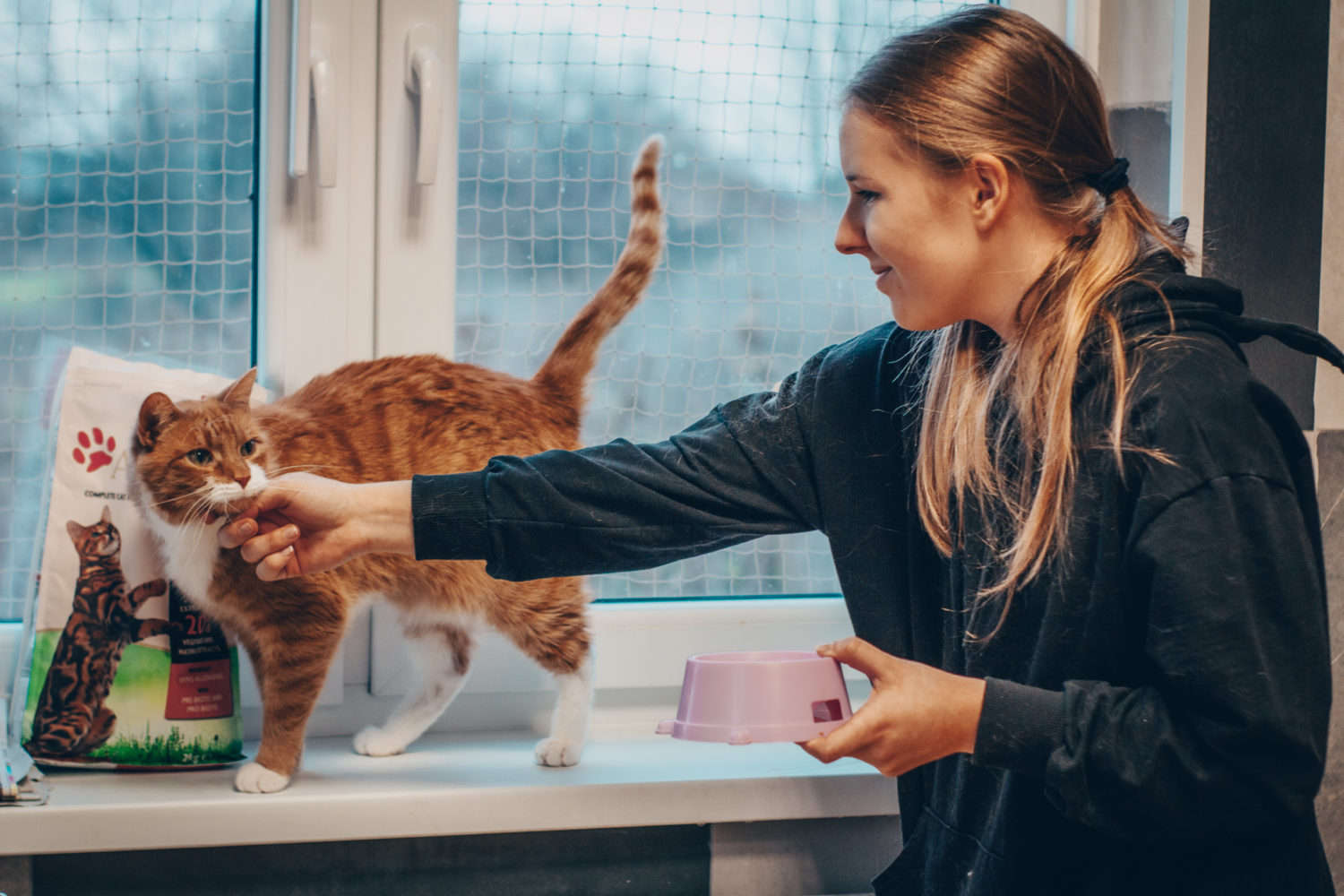 Dzień Wolontariusza