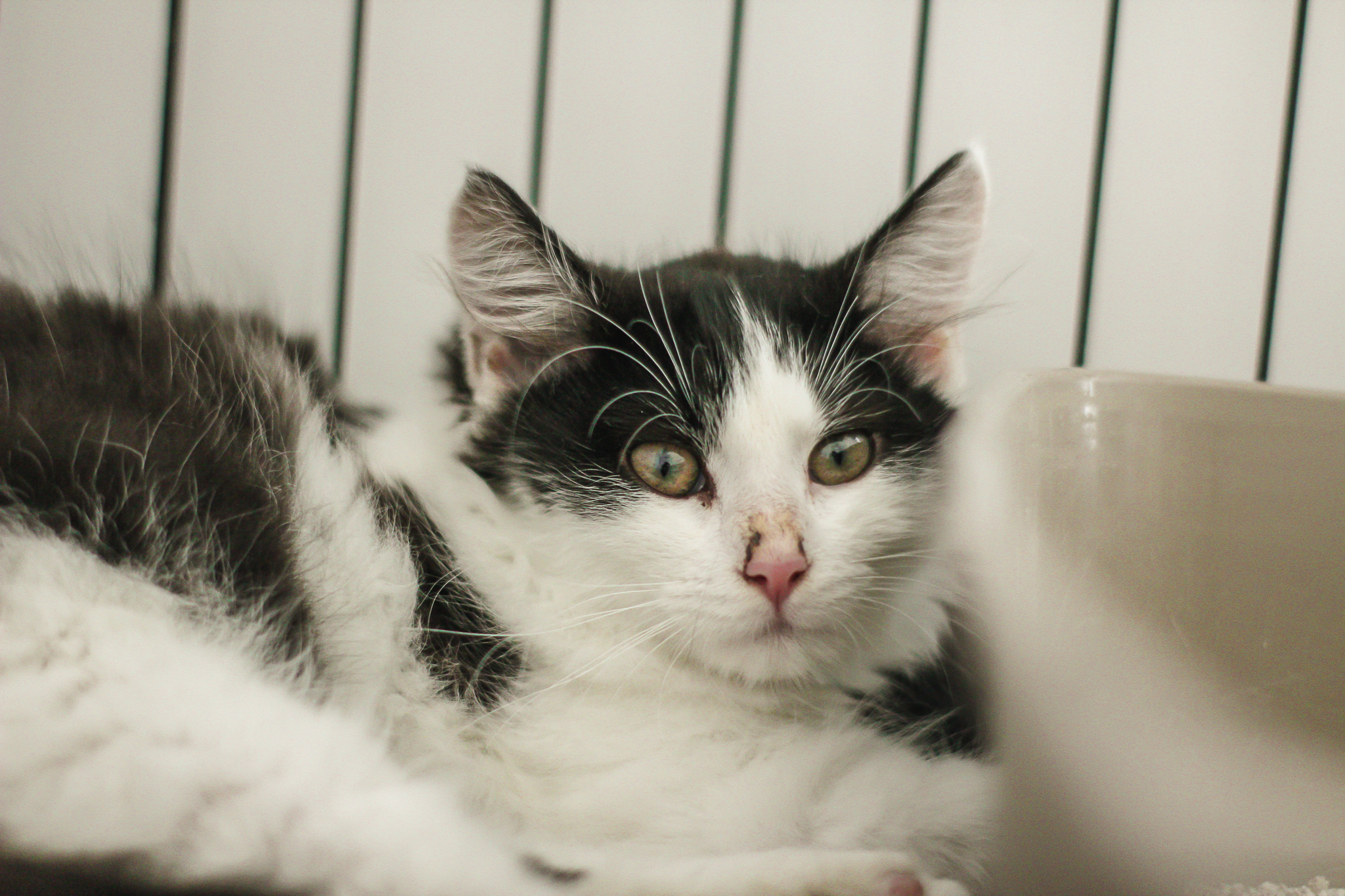 Komunikat Fundacji – wnioski o wsparcie