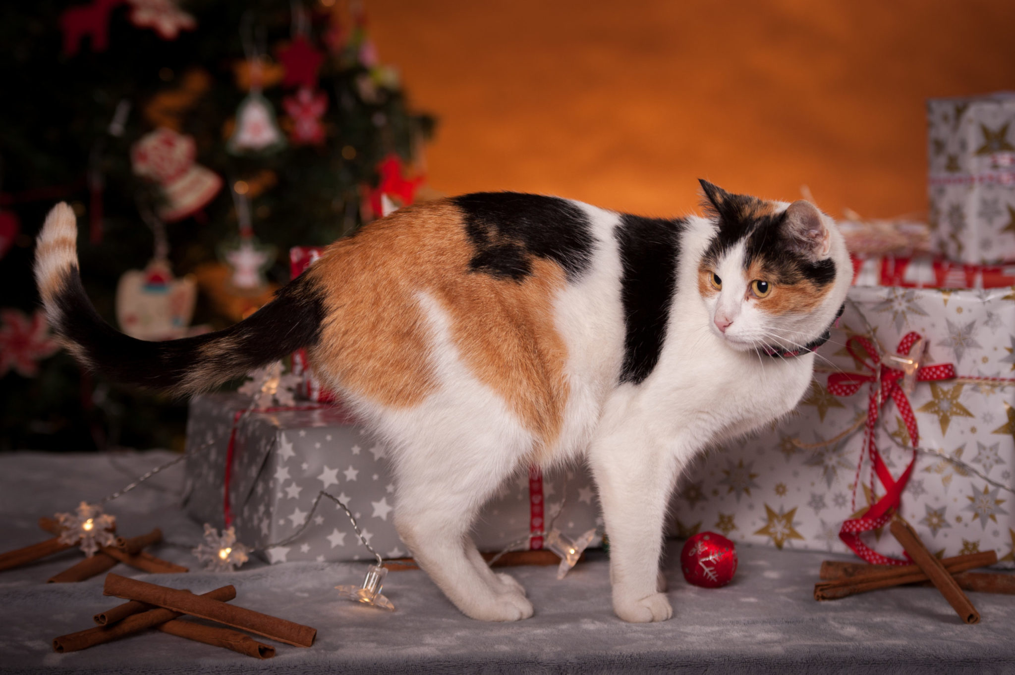 Najlepsze życzenia świąteczno-noworoczne