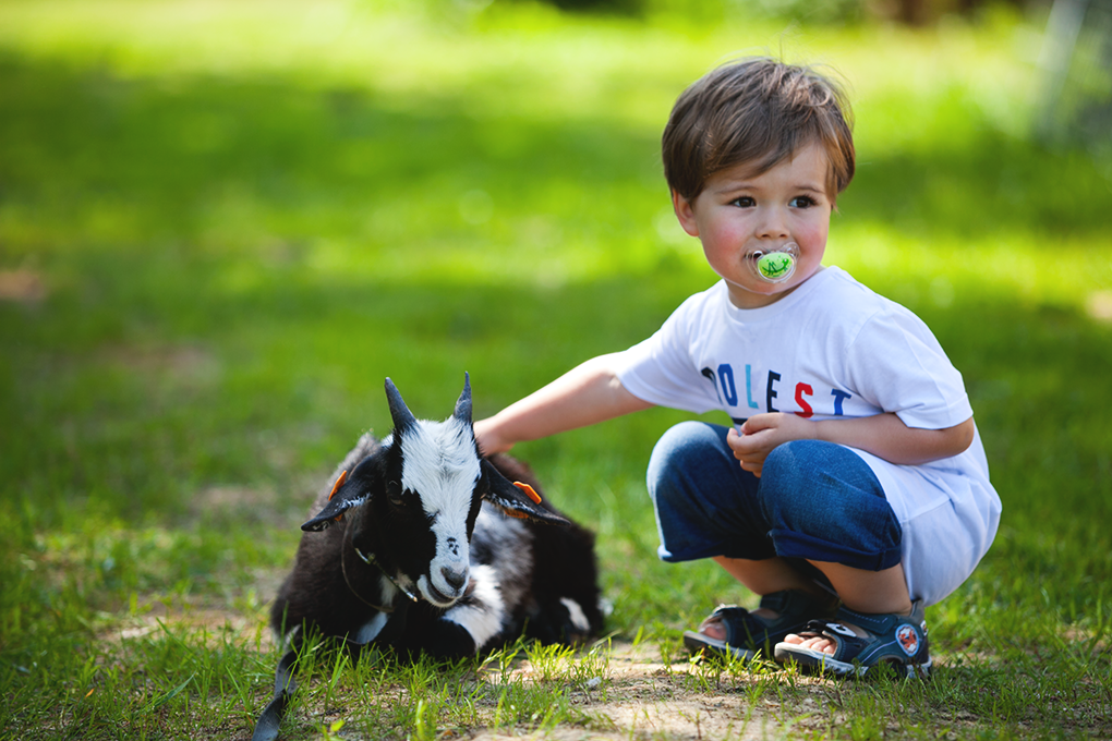 Podsumowanie 2019 roku