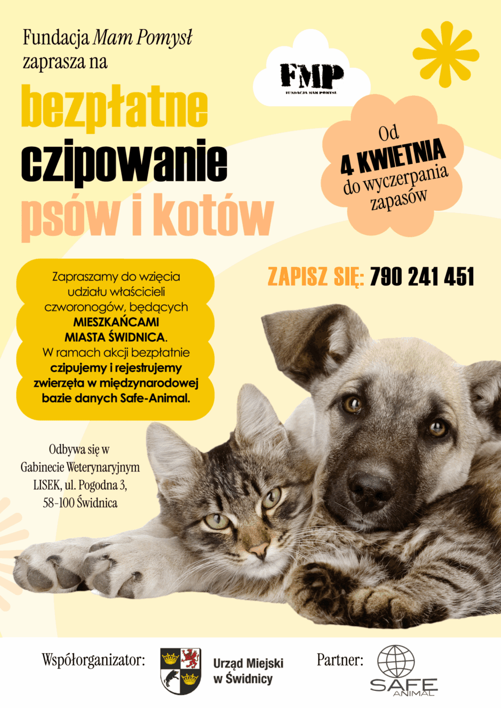 Akcja bezpłatnego czipowania – miasto Świdnica