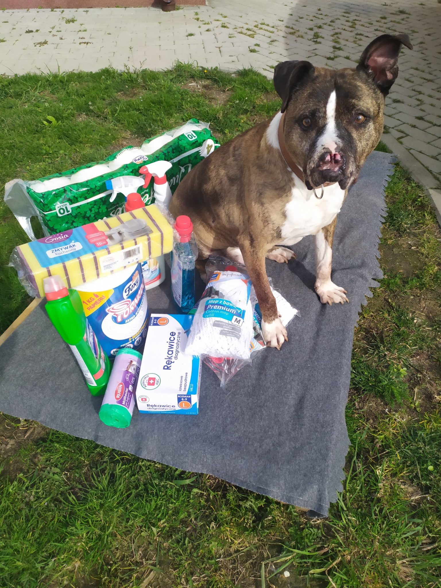 Zbieramy środki czystości