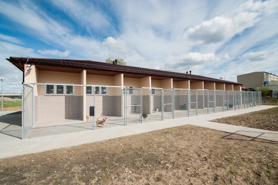 Schronisko dla Bezdomnych Zwierząt w Świdnicy