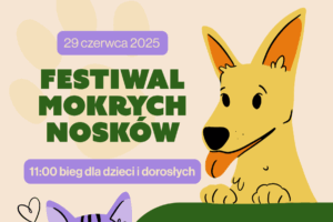 FESTIWAL MOKRYCH NOSKÓW