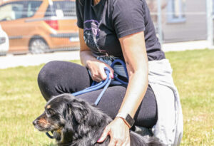 Praca w Fundacji – opiekun zwierząt