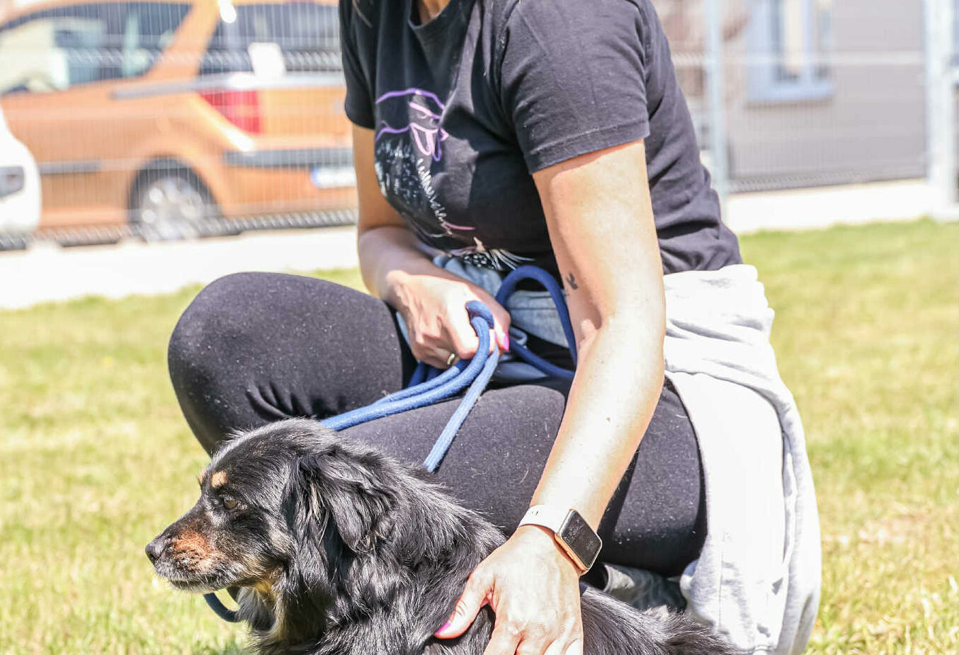 Praca w Fundacji – opiekun zwierząt