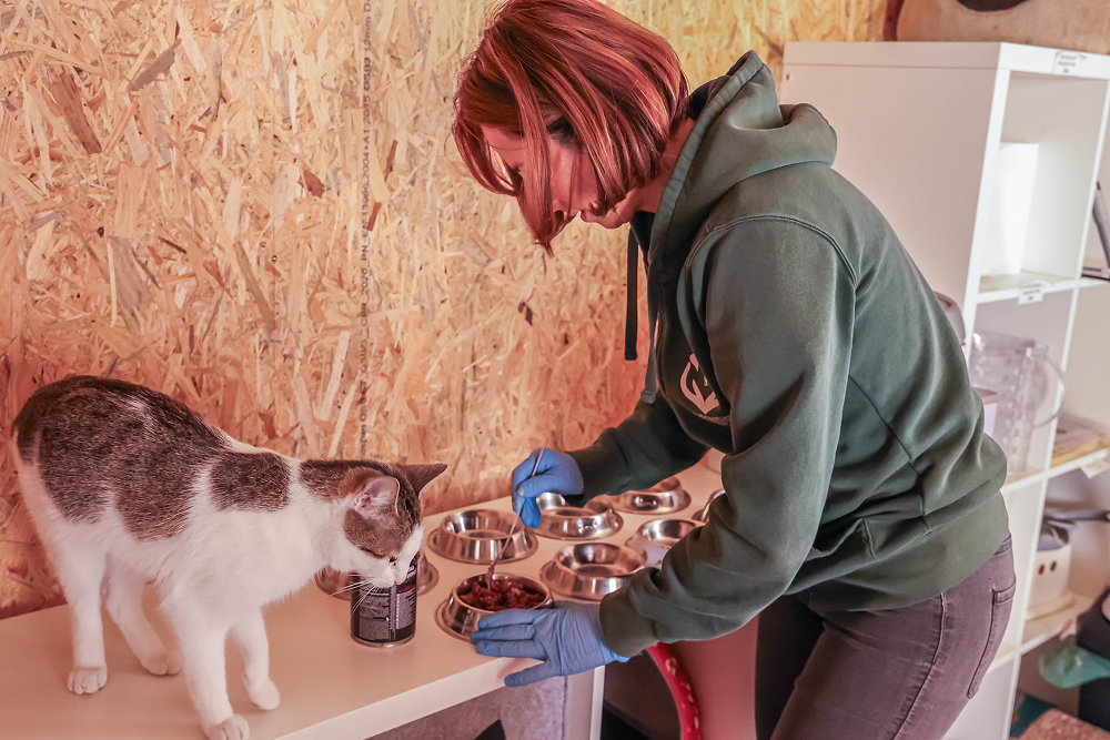 Kup bon na karmę dla zwierzaka