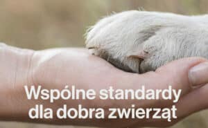 Wspólne standardy dla dobra zwierząt – dołącz do programu