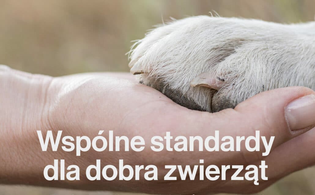 Wspólne standardy dla dobra zwierząt – dołącz do programu