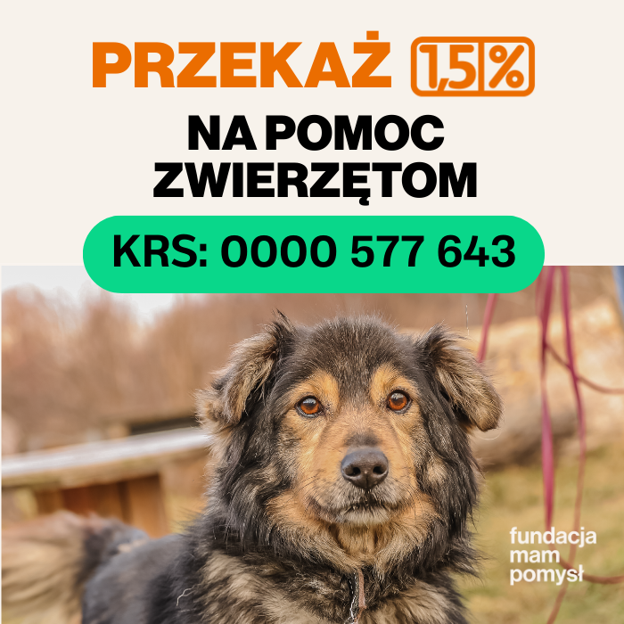 Przekaż 1,5% na pomoc zwierzętom; KRS: 0000 577 843; Fundacja Mam Pomysł