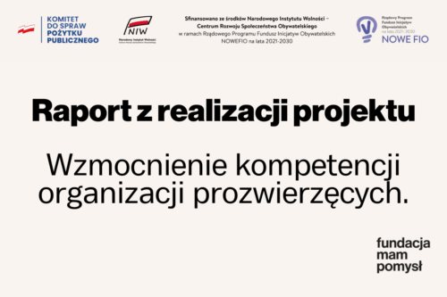 Raport z realizacji projektu: Wzmocnienie kompetencji NGO.
