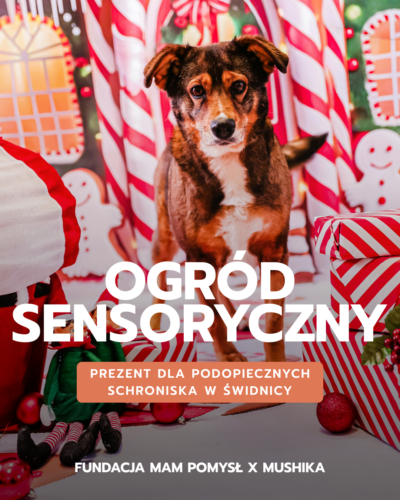 Prezent, który pozwoli bezdomniakom być sobą.