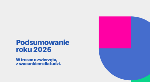 Podsumowanie działań za 2025 rok