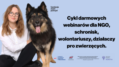 Cykl webinarów dla NGO. Zapraszamy!