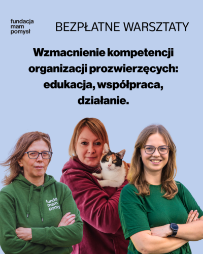 Zapraszamy na darmowe warsztaty stacjonarne dla NGO.