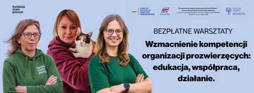Darmowe warsztaty stacjonarne dla NGO w Świdnicy.