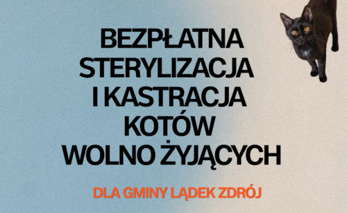 Zapobiegamy bezdomności w gminie Lądek Zdrój