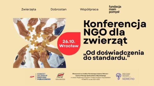 KONFERENCJA DLA NGO: „Od doświadczenia do standardu.”