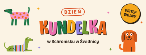 Dzień Kundelka 2026, zapraszamy do schroniska w Świdnicy!